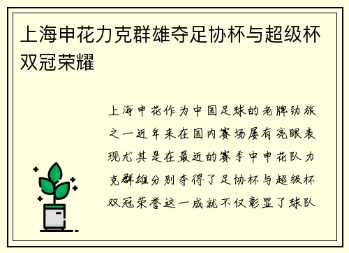 上海申花力克群雄夺足协杯与超级杯双冠荣耀