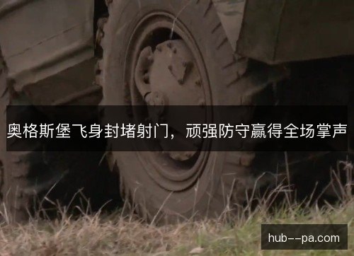 奥格斯堡飞身封堵射门，顽强防守赢得全场掌声